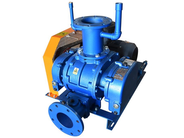 羅茨風(fēng)機(jī)六